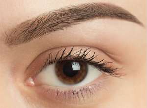 Eyebrow Transplant